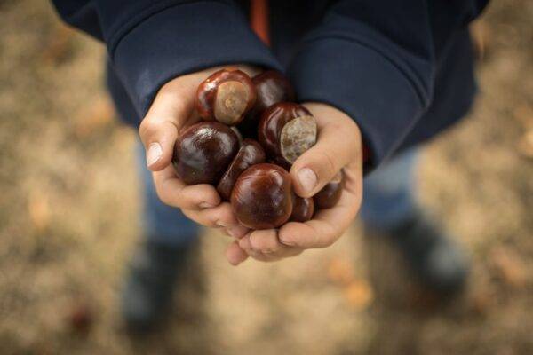 castagne