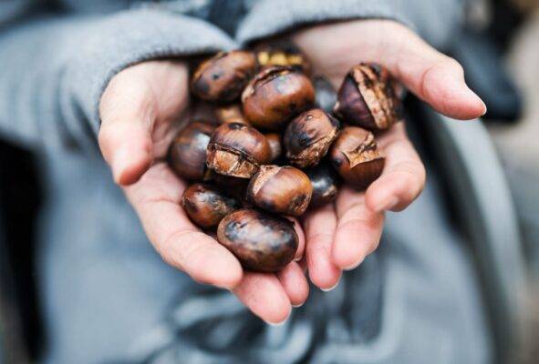 castagne