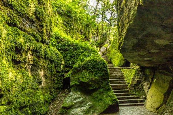 Fra Natura e Spiritualità sulle orme di San Francesco la verna
