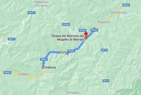 Sentiero del Marrone raccogliere castagne Firenze