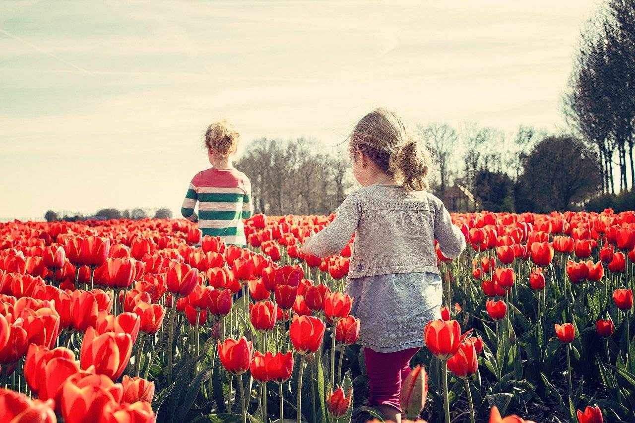 Gli effetti benefici della natura per i ragazzi