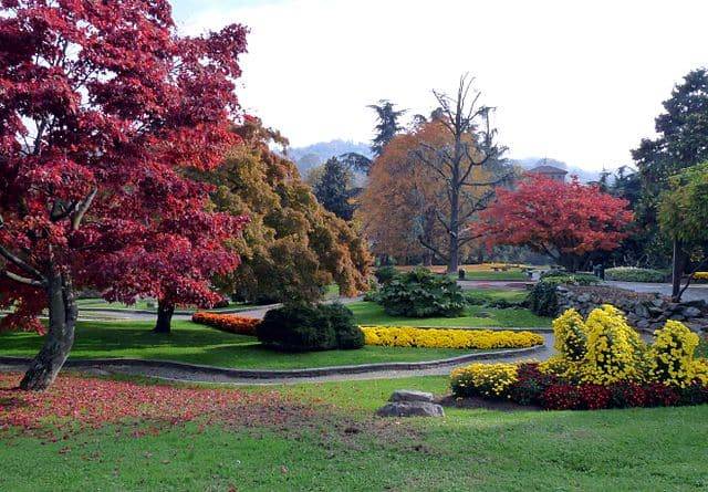 foliage parchi città