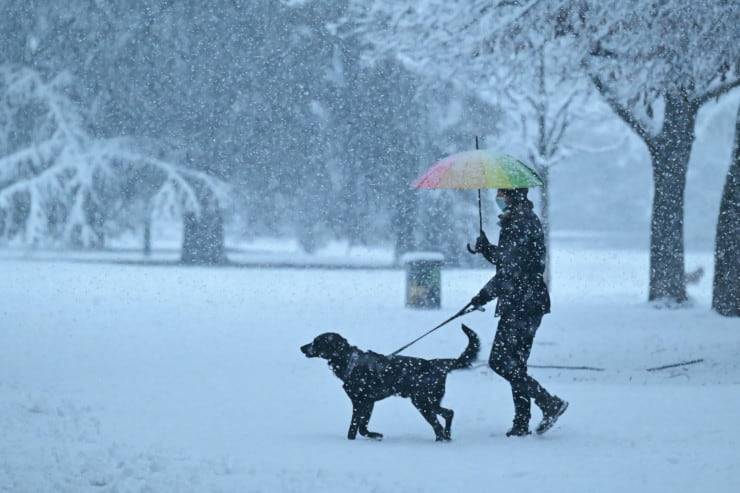 Meteo, Milano si sveglia sotto la neve | FOTO meteo neve milano foto