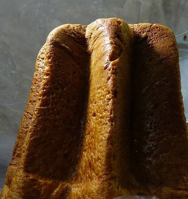 come è nato il pandoro