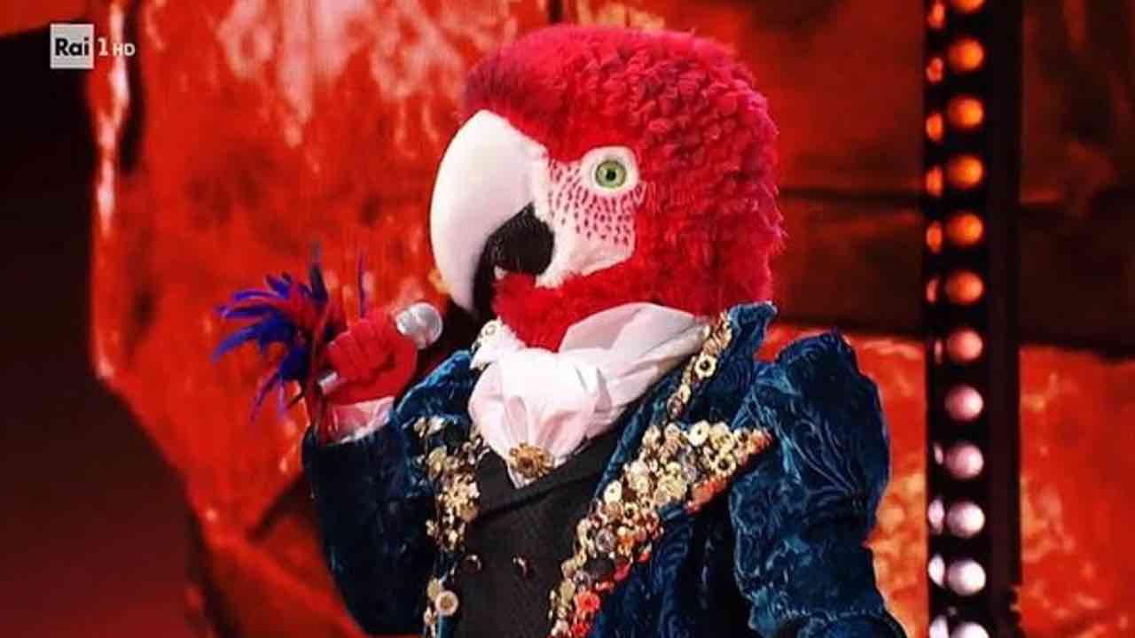 cantante mascherato pappagallo
