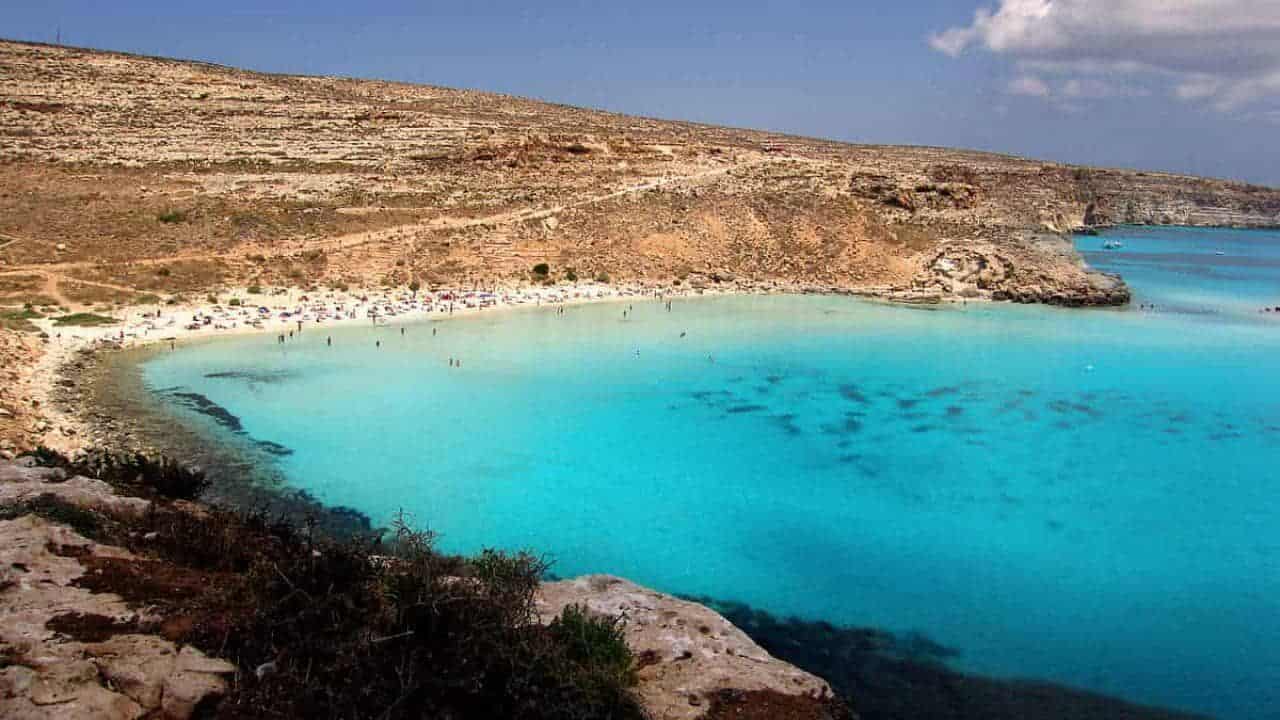 spiaggia conigli