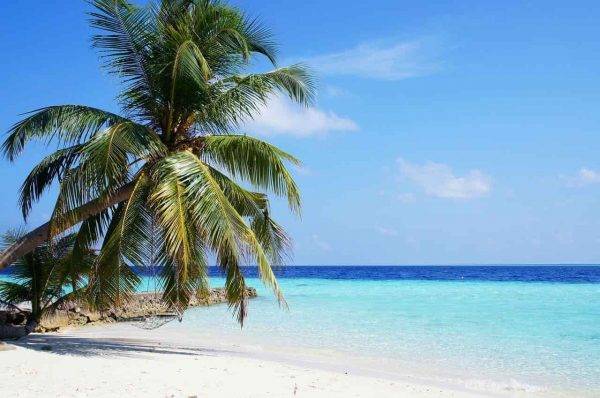 maldive