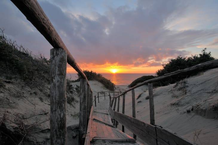 La passerella di legno fra le dune di Sabaudia dove ha casa Totti dune di Sabaudia villa Totti