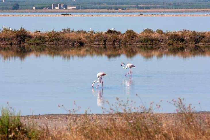 Margherita di Savoia andare puglia