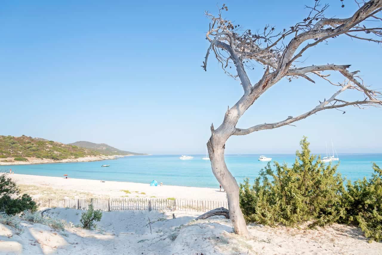 spiaggia di Saleccia in Corsica