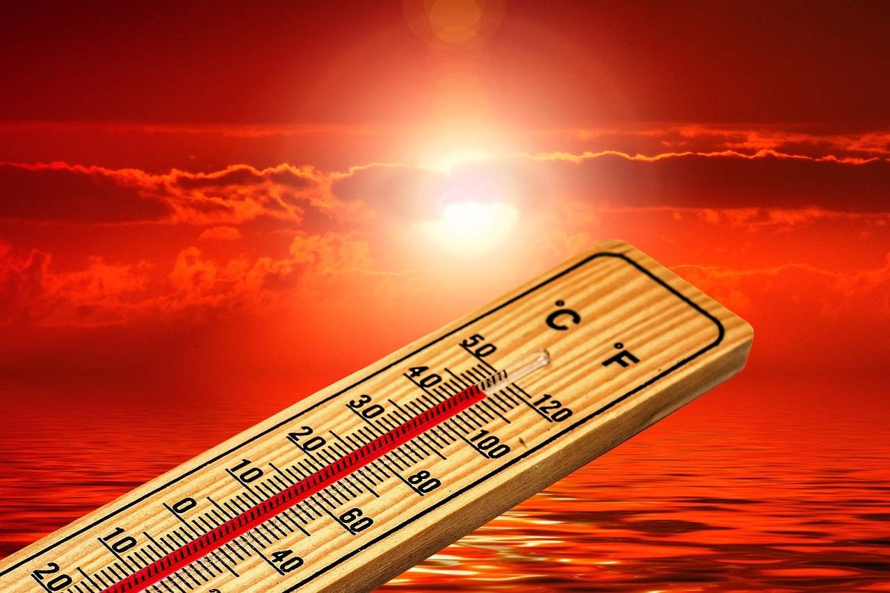 Il caldo fa decine di morti: le temperature sfiorano i 50°C caldo morti