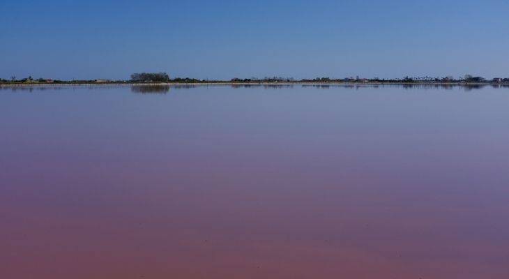 Le saline di Margherita di Savoia