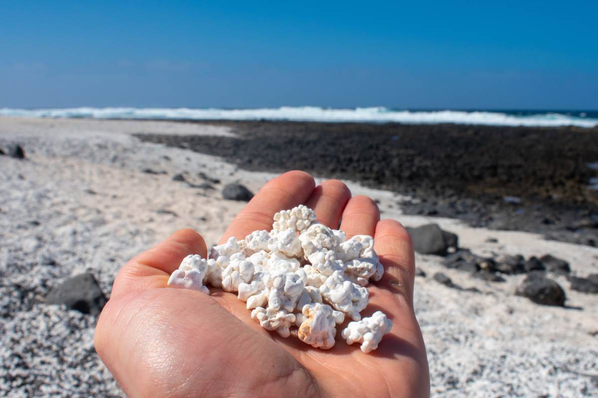 La distesa di popcorn, che in realtà sono coralli, su cui prendere il sole Una spiaggia di pop-corn