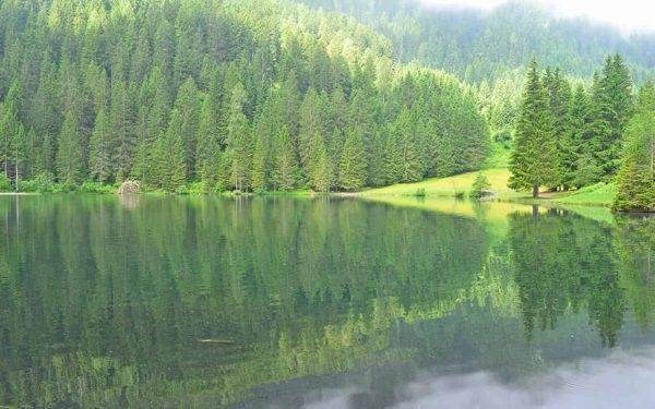vacanza gratis Trentino Il Trentino regala una vacanza gratis