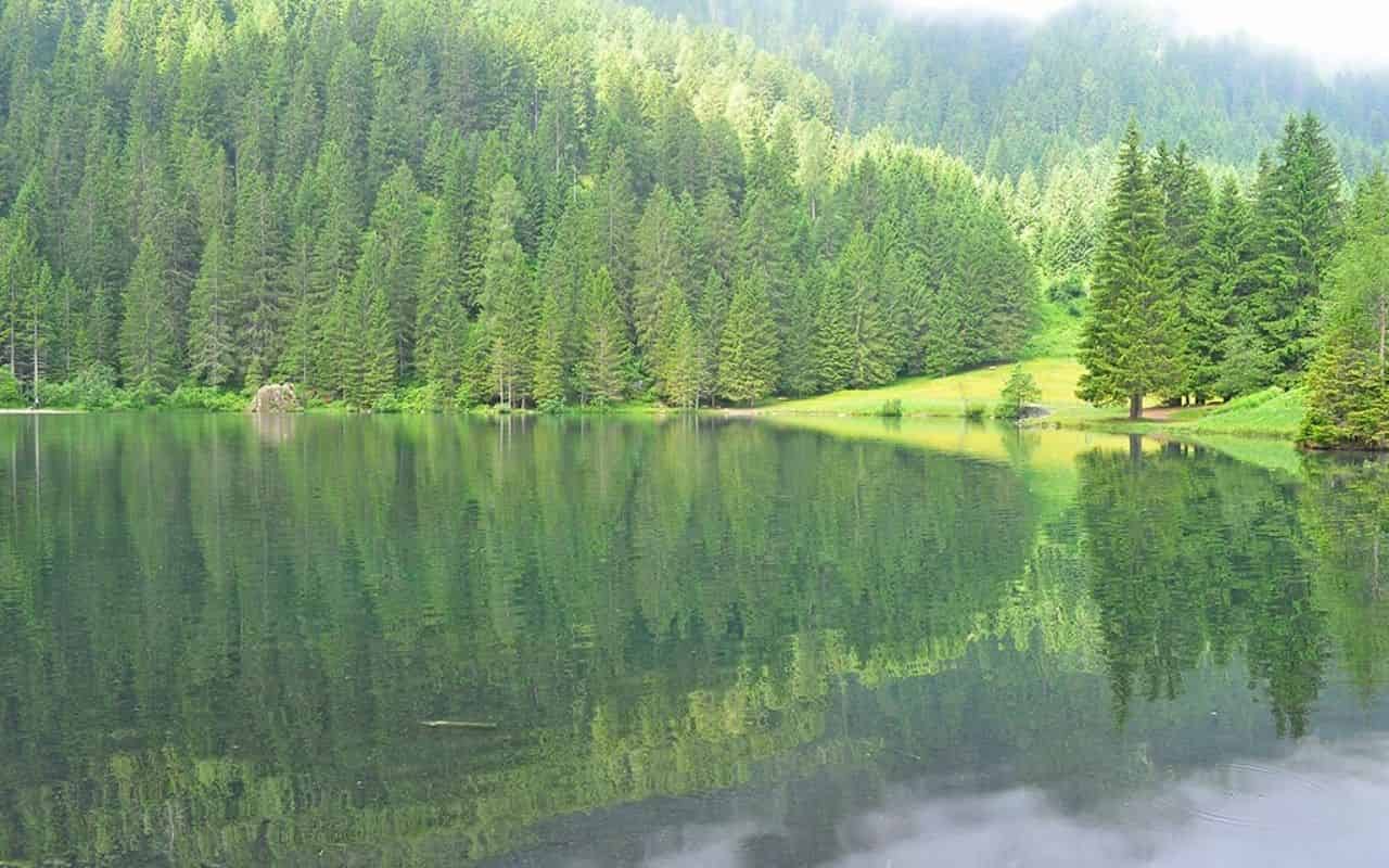 Il Trentino regala una vacanza gratis