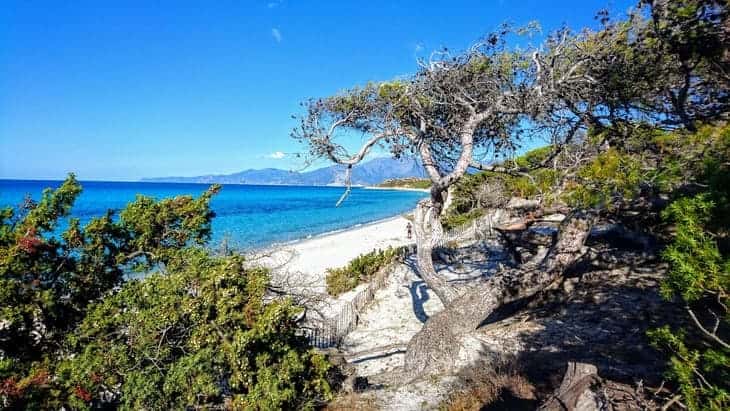 Le spiagge e il mare sono uno dei motivi per andare in Corsica spiagge corsica da vedere