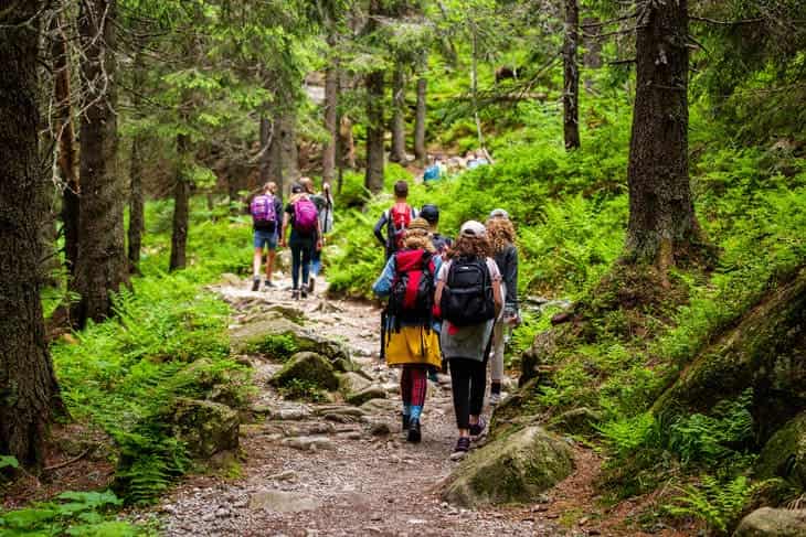 passeggiare nel bosco