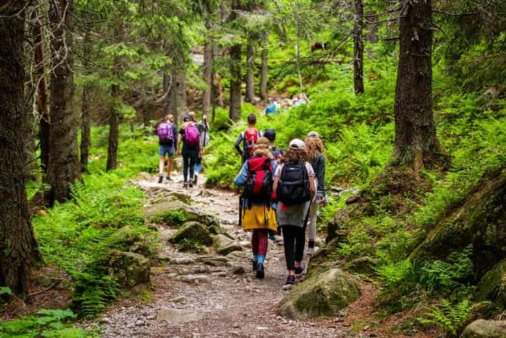 passeggiare nel bosco