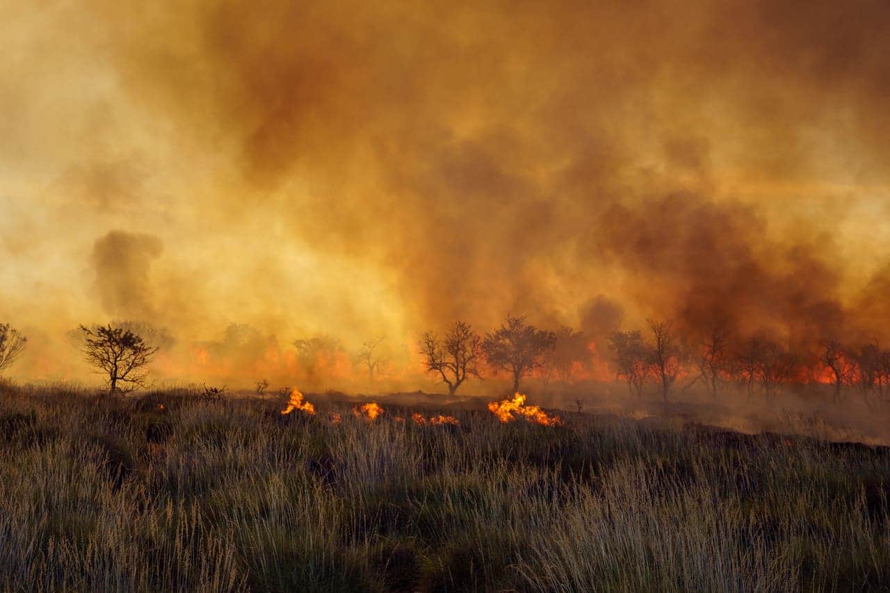 incendio in sardegna