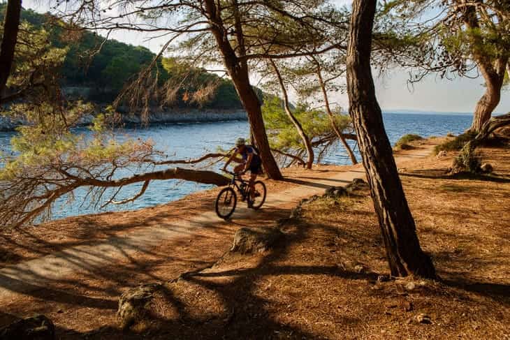 isola delfini lussino cosa fare