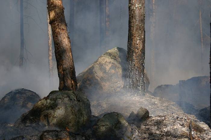 Fiamme e roghi in Sardegna Tragedia incendi in Sardegna