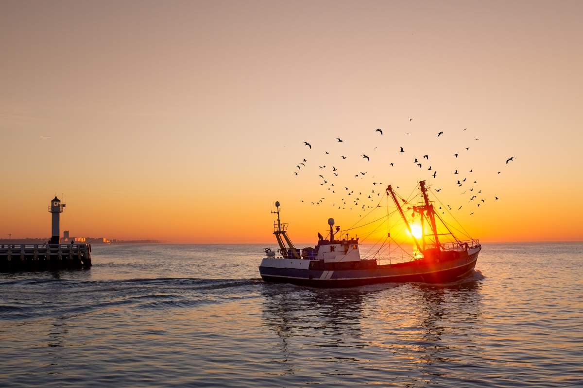 Pescaturismo: l'esperienza sostenibile