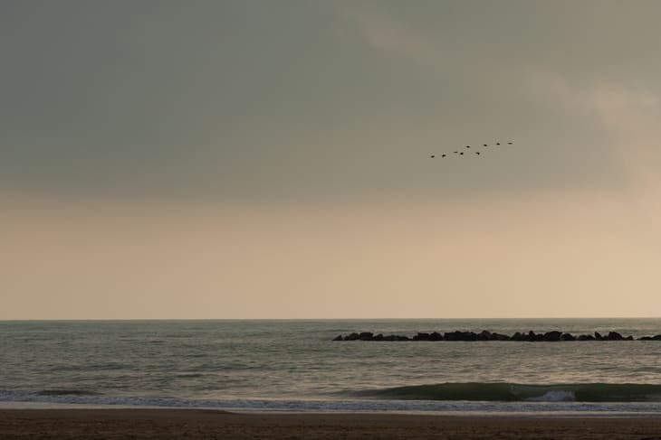 spiagge selvagge abruzzo