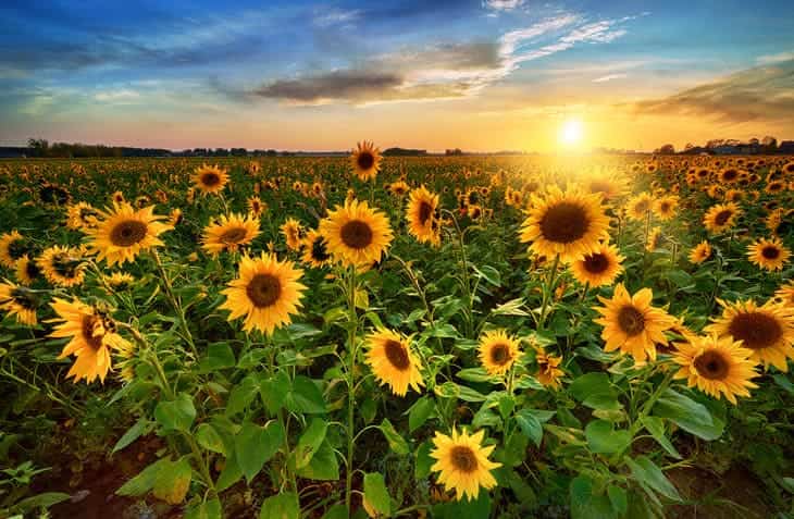 cosa fare a ferragosto