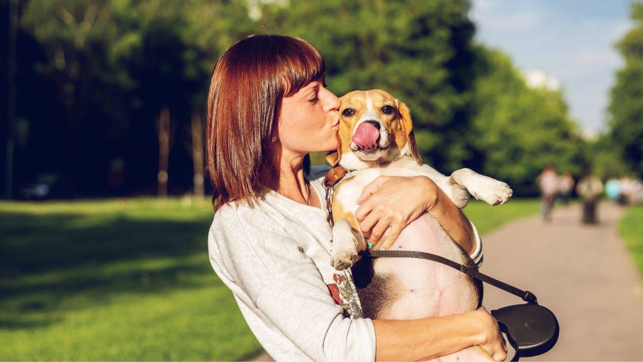 Giornata mondiale del cane dove andare