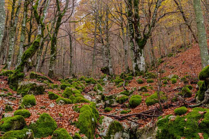 cosa fare in molise