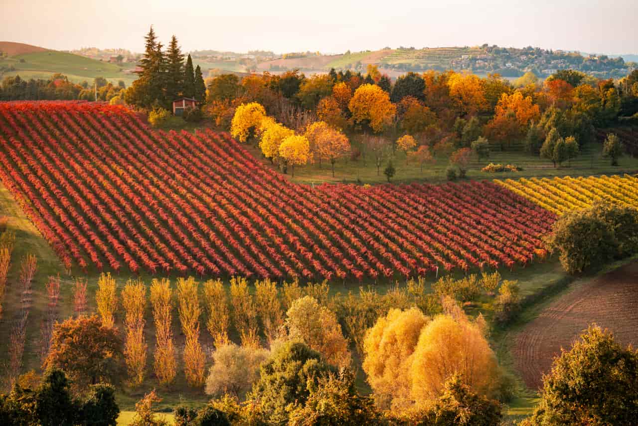 foliage emilia romagna