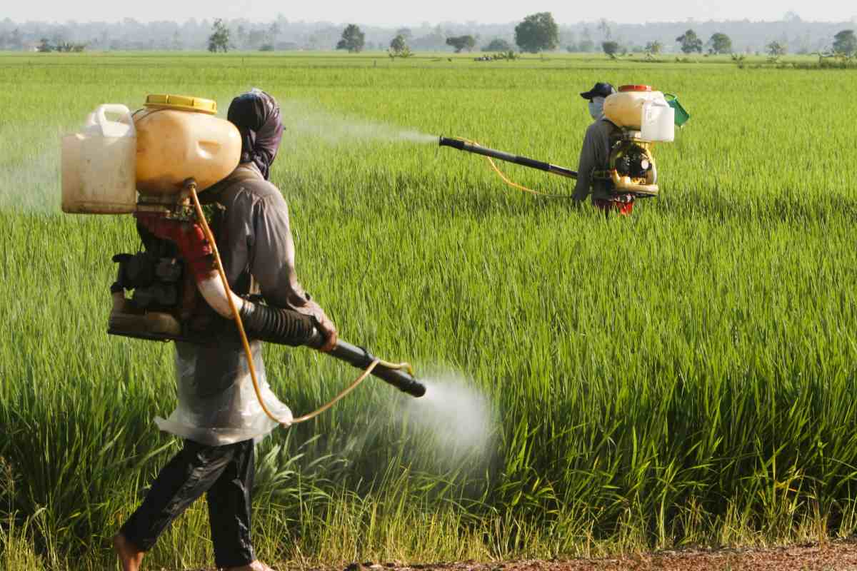 Aree agricole contaminate dai pesticidi