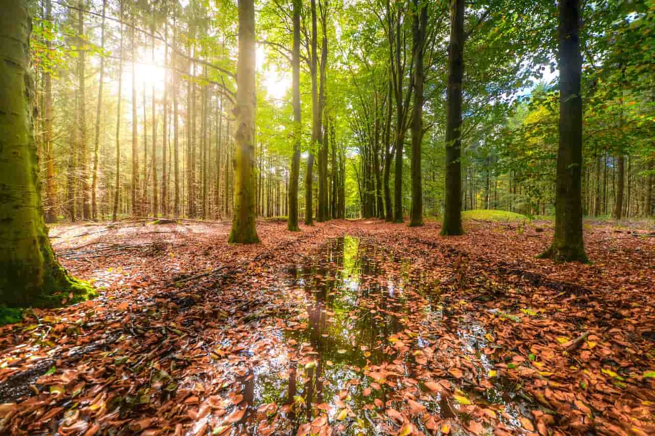 meteo settimana 20 settembre