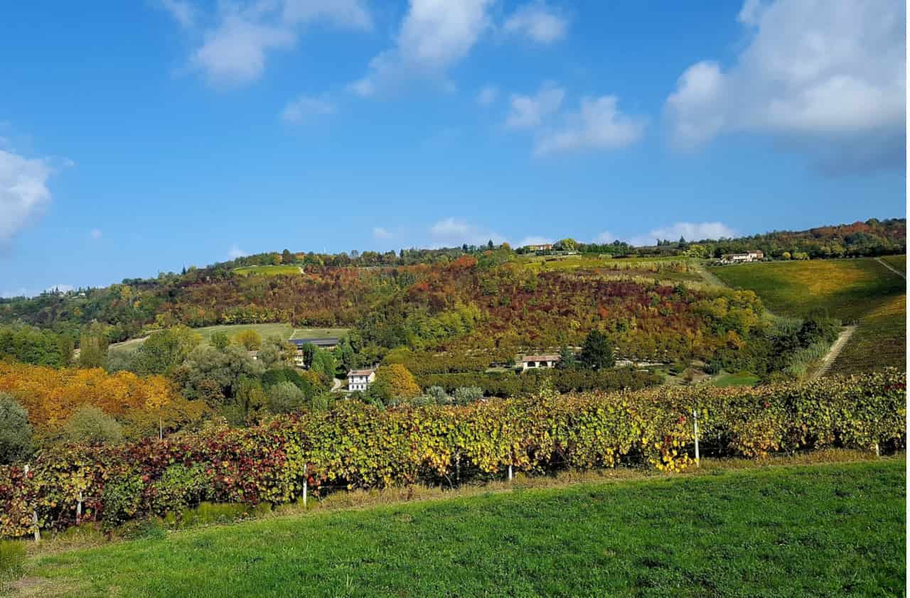 douja d'or 2021 vino monferrato