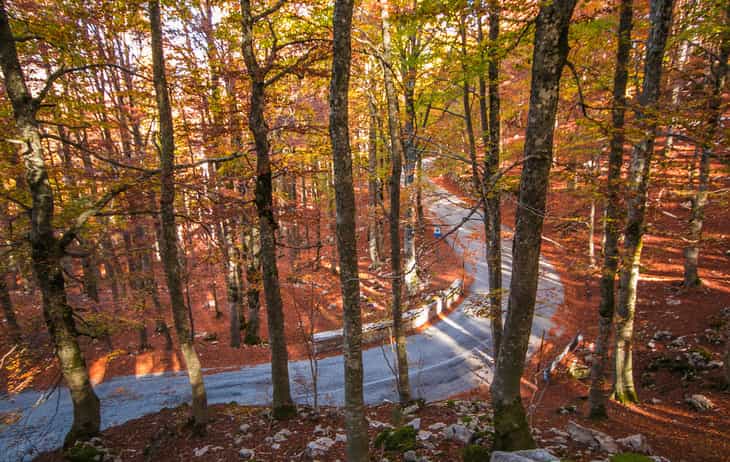 forca acero posto da vedere autunno