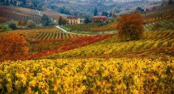 Offerte in agriturismo per l’autunno e il Ponte di Ognissanti