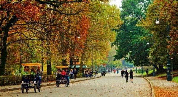 Villa Borghese foliage