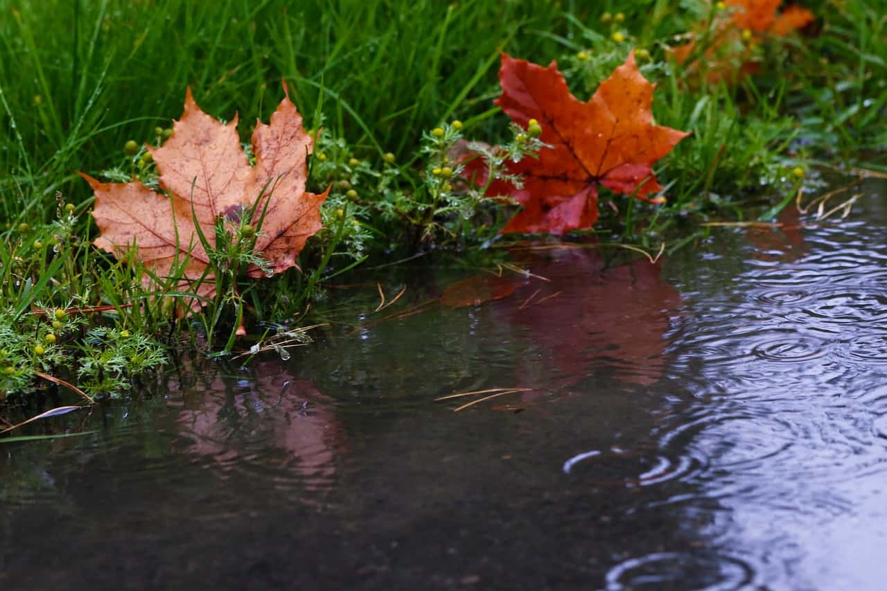 meteo weekend 22-24 ottobre