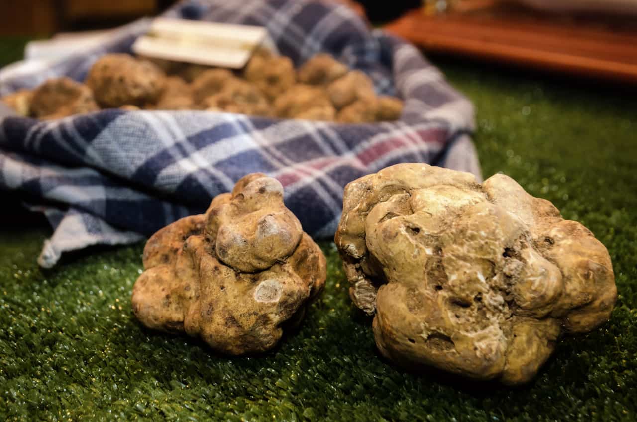 Sagre del tartufo 2021 in Italia: dove andare, gli eventi imperdibili sagre tartufo 2021
