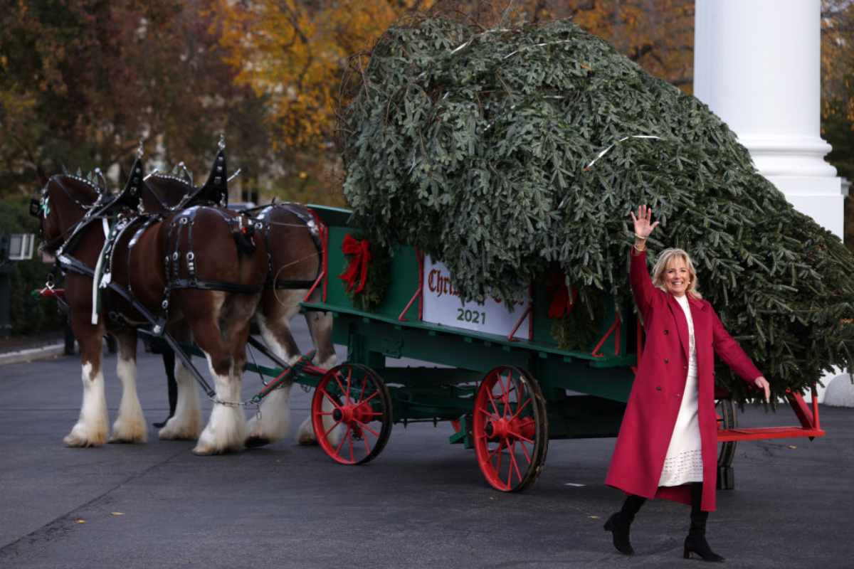 Jill Biden e l'albero di Natale