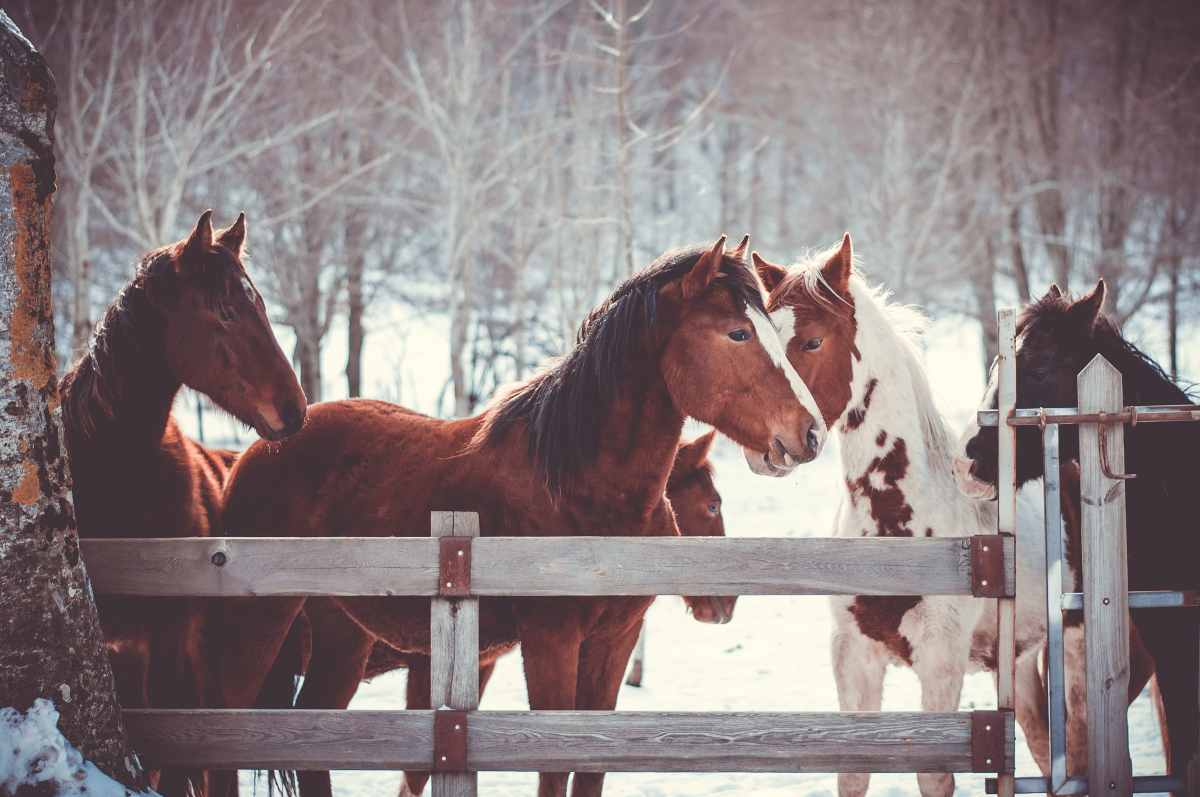 Destinazioni da sogno in inverno