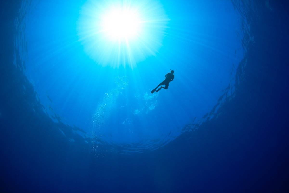 Il film su Jacques Cousteau