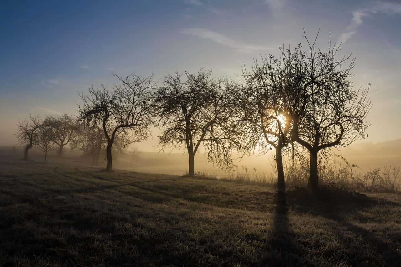 meteo weekend 20-21 novembre