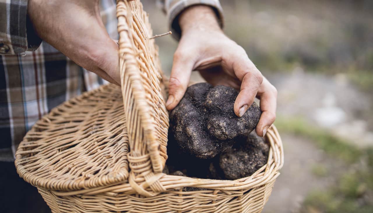 tartufo patrimonio unesco