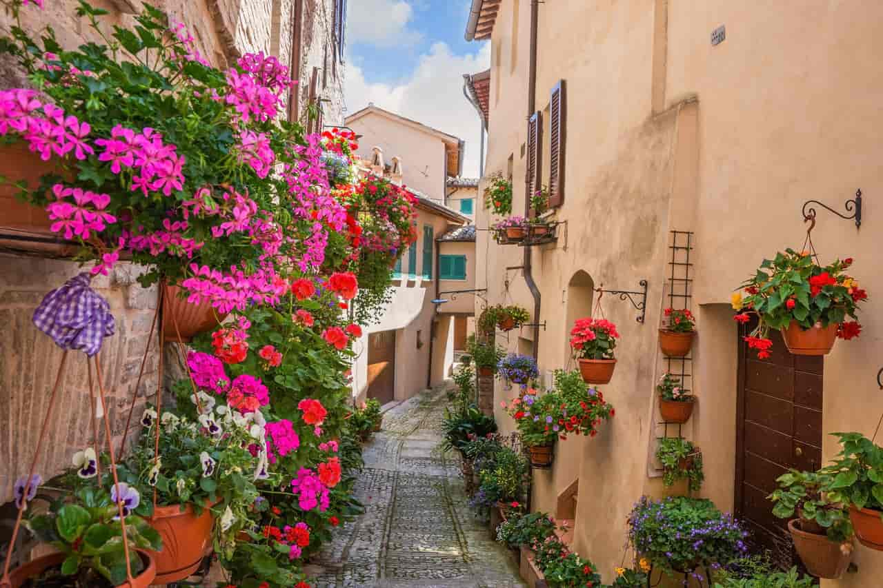 borgo primavera