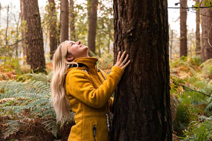 Il bagno nella foresta, come funziona la pratica giapponese