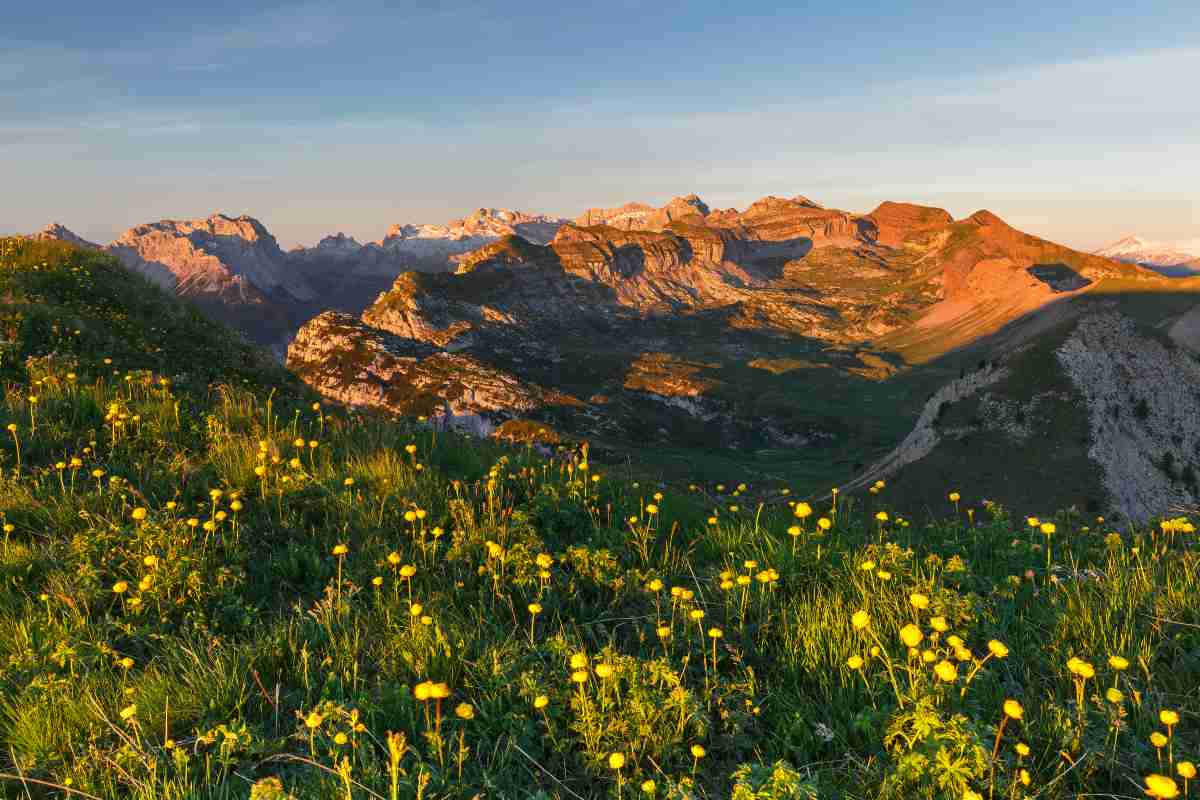 fioriture alpine