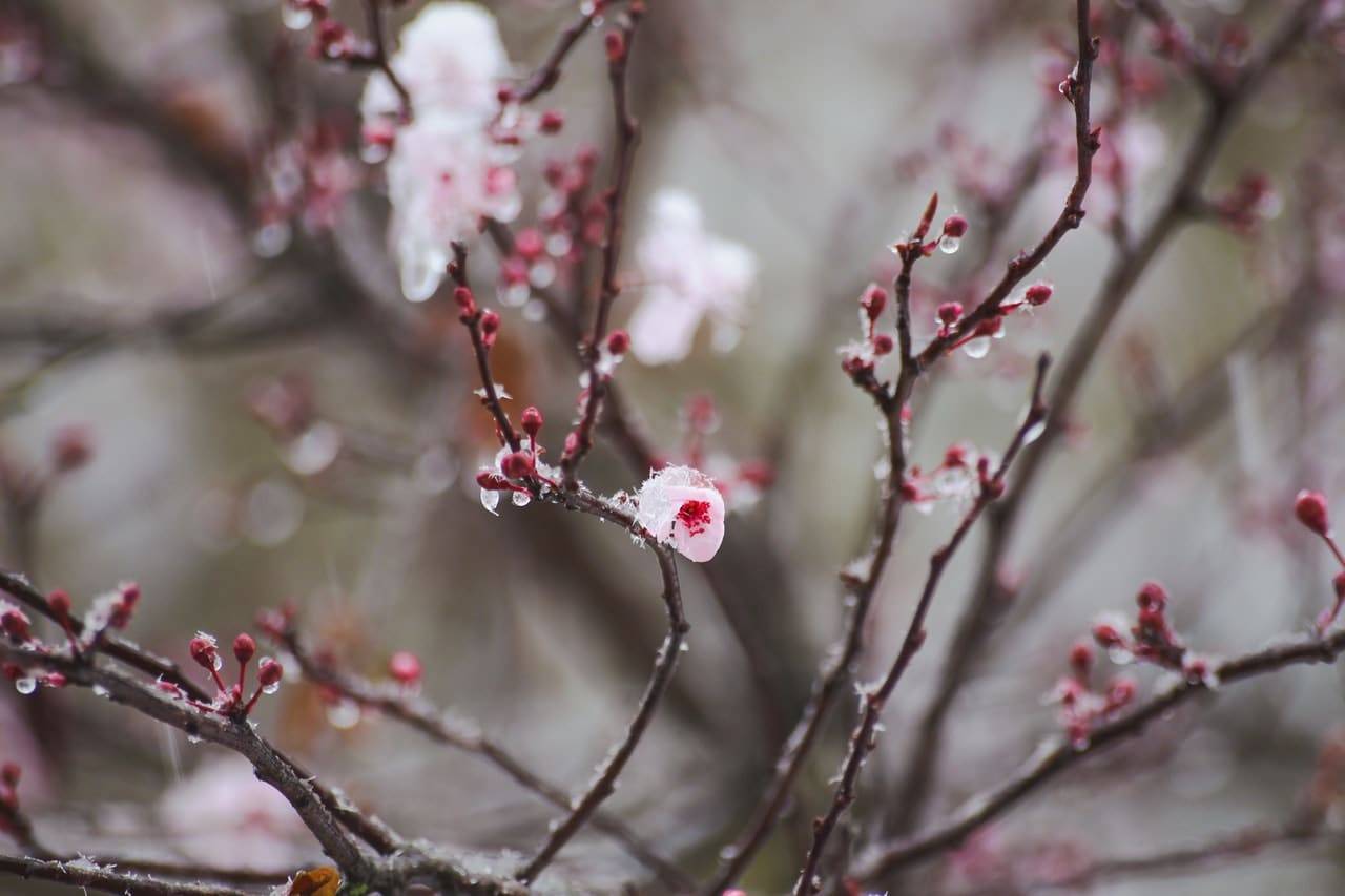 meteo 21 marzo primavera