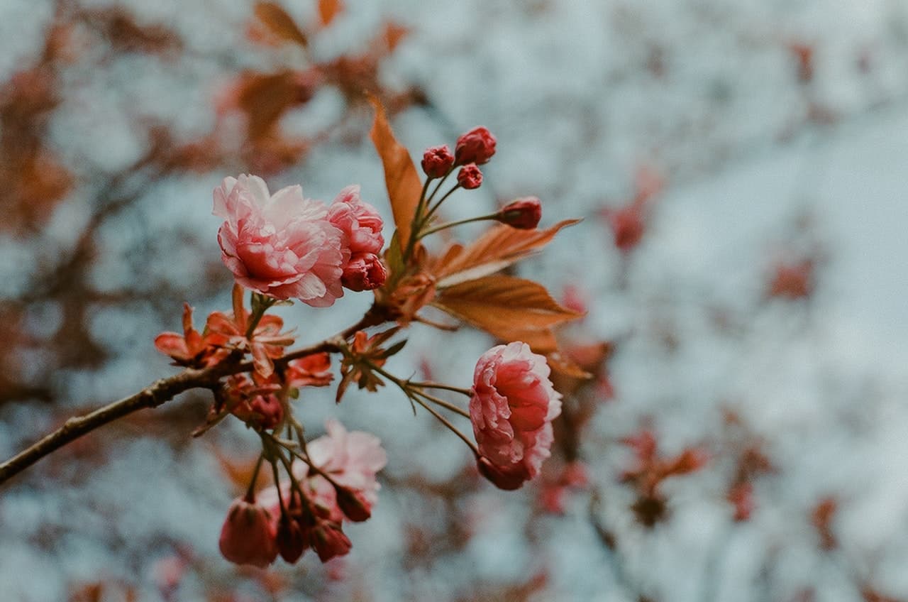 meteo weekend primavera 18-20 marzo