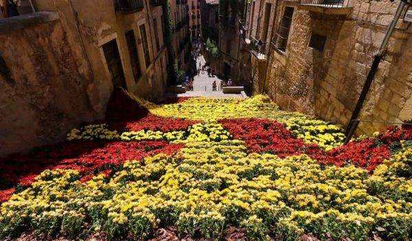 Spagna in fiore